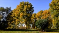 Farbenpracht im Herbst