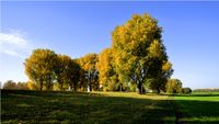 Farbenpracht im Herbst