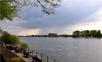 Rheinblick