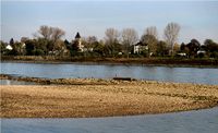 Kiesb&auml;nke tauchen im Rhein auf