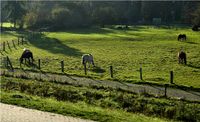 Landwirtschaftlich genutzte Fl&auml;chen