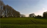 Landwirtschaftlich genutzte Fl&auml;chen