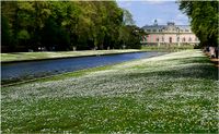 Der Spiegelweiher im Fr&uuml;hjahr