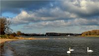 Impression Rhein