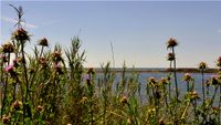 Etang de Pierre Bianche