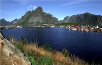 Reine