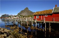 Reine