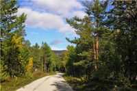 Stra&szlig;e zum Nationalpark Reinheimen