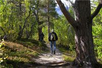 Wanderweg Reinheimen