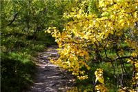 Nationalpark Reinheimen