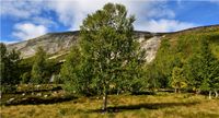 Reinheimen Nationalpark