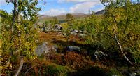 Reinheimen Nationalpark