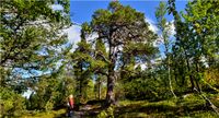 Reinheimen Nationalpark